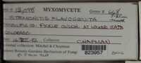 Image Associated With the Occurence